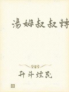 汤姆叔叔转接口