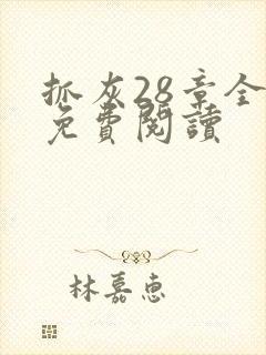 抓灰28章全部免费阅读