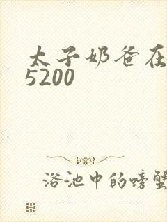 太子奶爸在花都5200