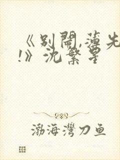 《别闹,薄先生!》沈繁星