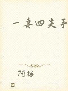 一妻四夫手记