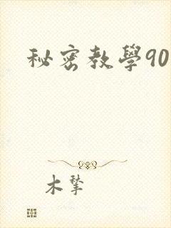 秘密教学90