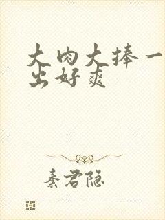 大肉大捧一进一出好爽封面