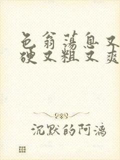 色翁荡息又大又硬又粗又爽小莹