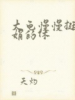 大龟慢慢挺进张娟的休