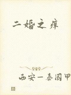 二婚之痒