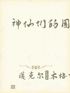 神仙们的团宠封面