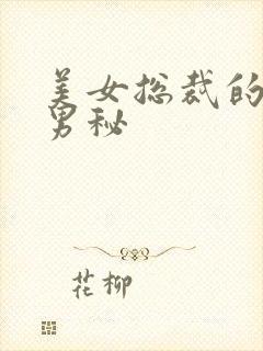 美女总裁的贴身男秘