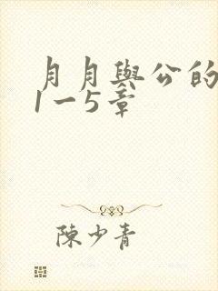 月月与公的激情1一5章封面