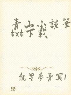 青山小说笔趣阁txt下载