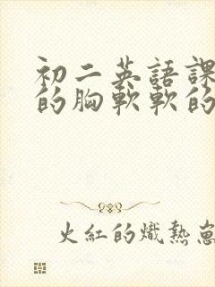 初二英语课代表的胸软软的