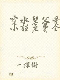 霍水儿父爱霍泽小说免费全文阅读续集封面