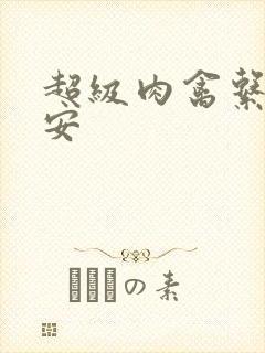 超级肉禽系统保安封面