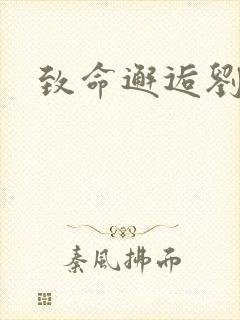 致命邂逅刘小寐