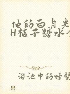 他的白月光HVH桔子糖水全文封面