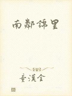 南邻锦里封面