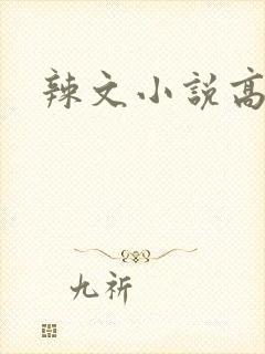 辣文小说高h