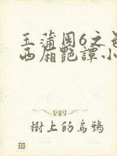 玉蒲团6之色情西厢艳谭小说封面