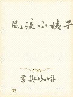 风流小姨子封面