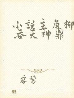 小说主角柳无邪 吞天神鼎封面