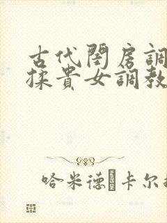 古代闺房调教h揉贵女调教记封面