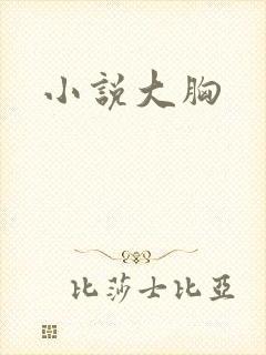 小说大胸