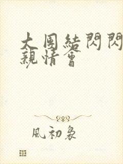 大团结闪闪发光亲情会封面