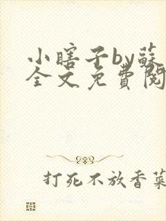 小瞎子by苏软全文免费阅读