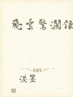 飞云惊澜录封面
