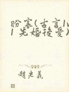 盼寡(古言1v1 先婚后爱)