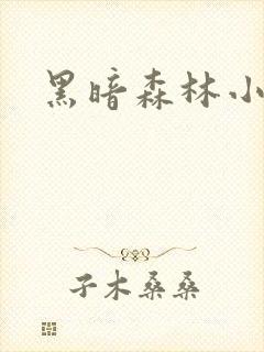 黑暗森林小说