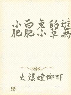 小白兔的进化史肥肥小草无防盗