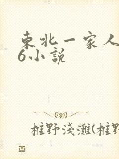 东北一家人1一6小说封面