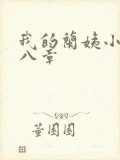 我的兰姨小说第八章封面