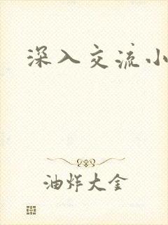 深入交流小说封面