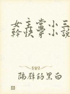 女主当小三的高干快穿小说禾火火封面