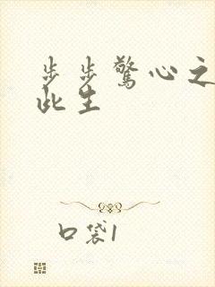 步步惊心之禛曦此生封面