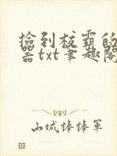 捡到校霸的遥控器txt笔趣阁