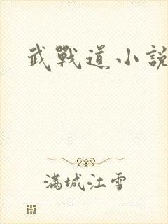 武战道小说