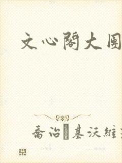 文心阁大团结封面