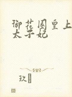 御花园皇上撞着太子妃