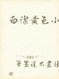白洁黄色小说