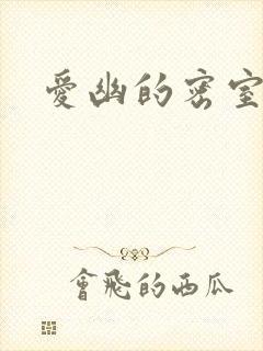 爱幽的密室小说