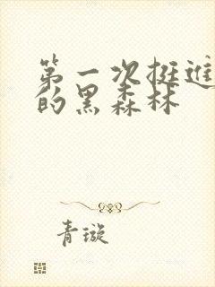 第一次挺进麻麻的黑森林封面