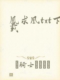 凤求凰txt下载