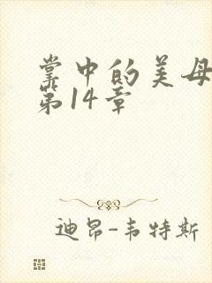 掌中的美母版主第14章封面