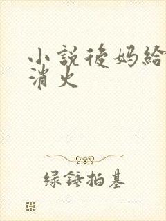 小说后妈给我消消火