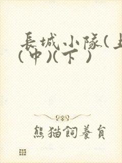 长城小队(上)(中)(下 )