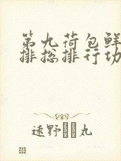 第九荷包鲜辣肉排总排行功能介绍