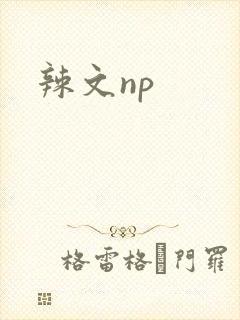 辣文np封面